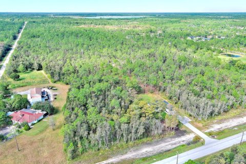 Land in Naples, Florida № 2013369 - photo 8