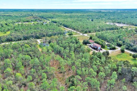 Land in Naples, Florida № 2013369 - photo 14