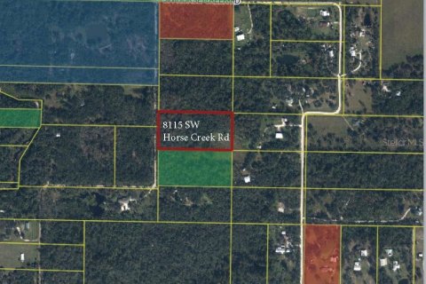 Terreno en venta en Arcadia, Florida № 2118532 - foto 3