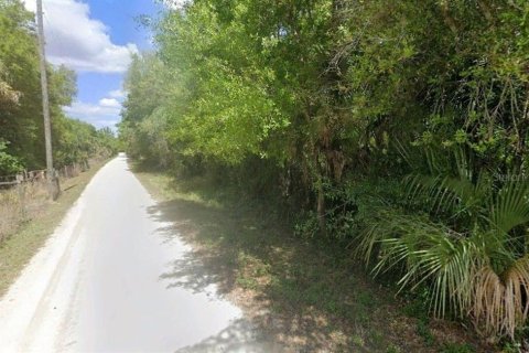 Land in Arcadia, Florida № 2118532