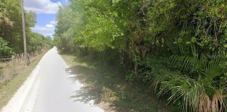 Terreno en Arcadia, Florida № 2118532