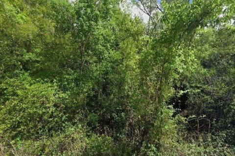 Terreno en venta en Arcadia, Florida № 2118532 - foto 2