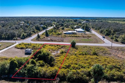 Land in Punta Gorda, Florida № 2162903 - photo 4