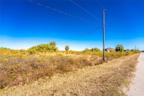 Land in Punta Gorda, Florida № 2162903 - photo 11