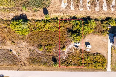 Land in Punta Gorda, Florida № 2162903 - photo 3