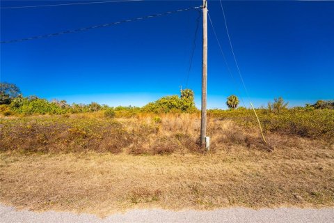 Land in Punta Gorda, Florida № 2162903 - photo 12