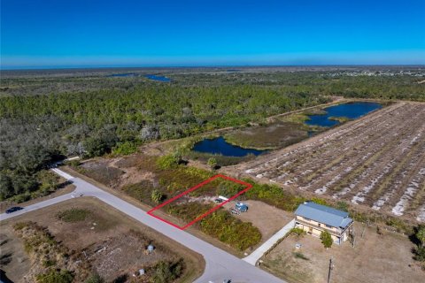 Land in Punta Gorda, Florida № 2162903 - photo 2