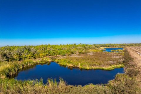 Land in Punta Gorda, Florida № 2162903 - photo 6