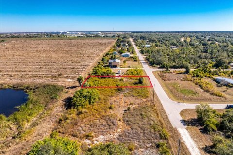 Land in Punta Gorda, Florida № 2162903 - photo 8