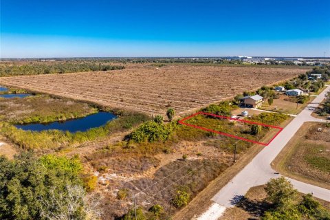 Land in Punta Gorda, Florida № 2162903 - photo 7