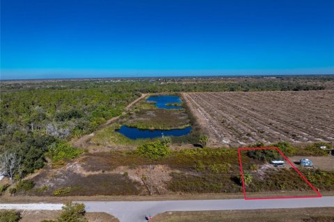 Land in Punta Gorda, Florida № 2162903 - photo 10