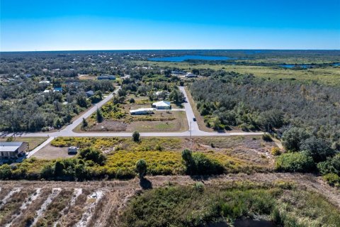 Land in Punta Gorda, Florida № 2162903 - photo 5