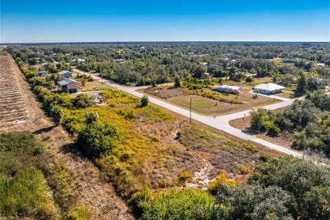 Land in Punta Gorda, Florida № 2162903 - photo 9