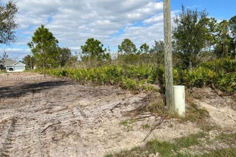 Terreno en Lehigh Acres, Florida № 2170281