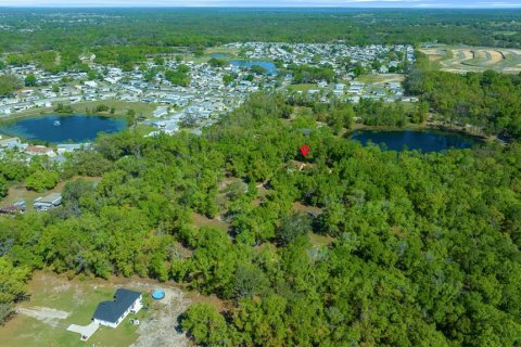 Villa ou maison à vendre à Lady Lake, Floride: 4 chambres, 371.24 m2 № 1723877 - photo 5