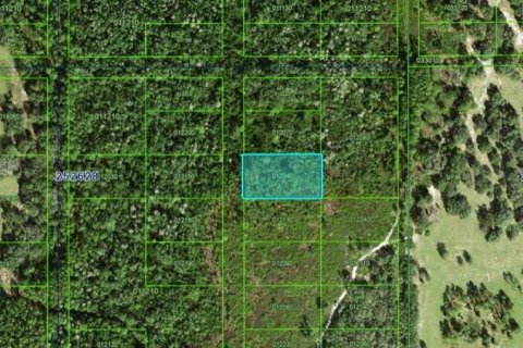 Terrain à Polk City, Floride № 2162227