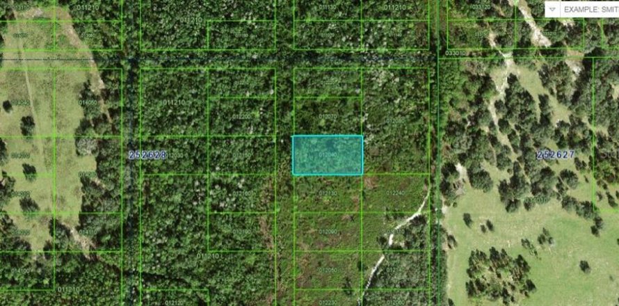 Terrain à Polk City, Floride № 2162227