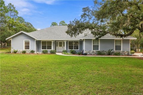 Casa en venta en Homosassa, Florida, 4 dormitorios, 197.05 m2 № 2386646 - foto 10