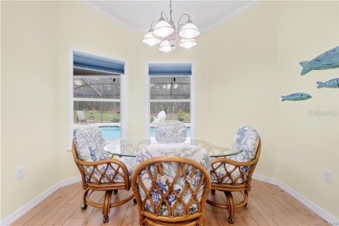 Casa en venta en Homosassa, Florida, 4 dormitorios, 197.05 m2 № 2386646 - foto 20