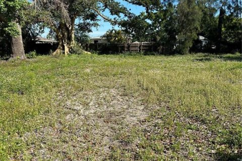 Terreno en venta en Saint Petersburg, Florida № 1602767 - foto 1