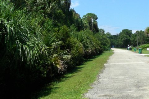 Land in Fort Pierce, Florida № 1035945 - photo 1