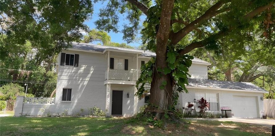 House in Tampa, Florida 4 bedrooms, 250.93 sq.m. № 1787436