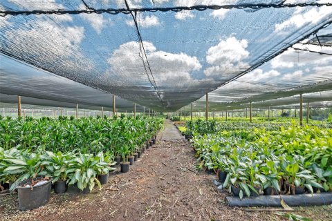 Villa ou maison à vendre à Homestead, Floride: 4 chambres, 338.54 m2 № 1966333 - photo 6