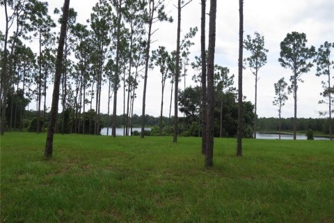 House in Eustis, Florida 3 bedrooms, 166.67 sq.m. № 1900035 - photo 4