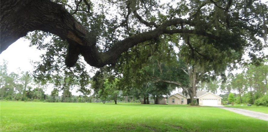House in Eustis, Florida 3 bedrooms, 166.67 sq.m. № 1900035