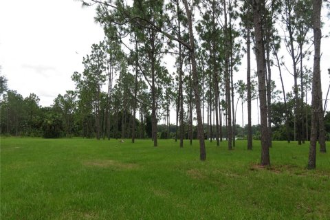 House in Eustis, Florida 3 bedrooms, 166.67 sq.m. № 1900035 - photo 6