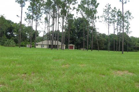 House in Eustis, Florida 3 bedrooms, 166.67 sq.m. № 1900035 - photo 5