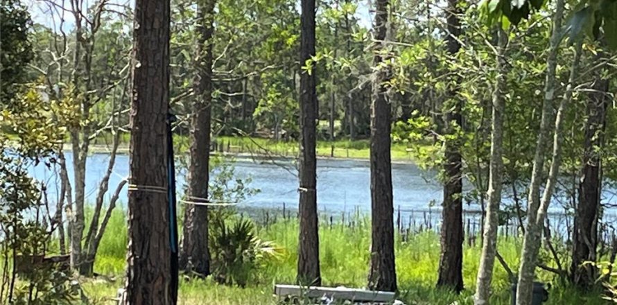 Terreno en DeLand, Florida № 2234865