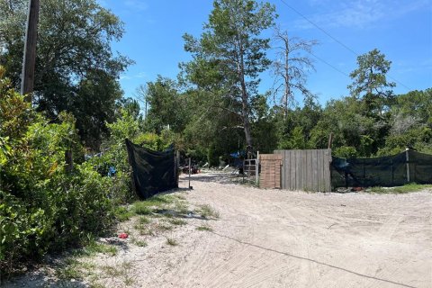 Terreno en venta en DeLand, Florida № 2234865 - foto 5