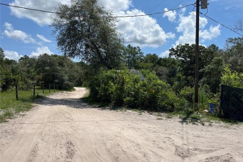 Terreno en venta en DeLand, Florida № 2234865 - foto 3