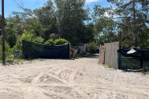 Terreno en venta en DeLand, Florida № 2234865 - foto 4