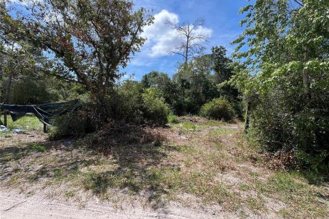 Terreno en venta en DeLand, Florida № 2234865 - foto 6