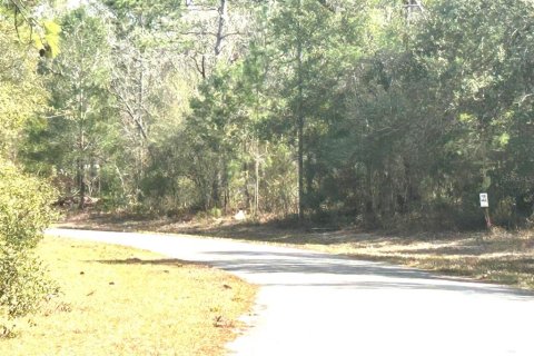 Terreno en venta en Ocala, Florida № 2097640 - foto 3