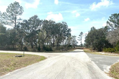 Terreno en Ocala, Florida № 2097640