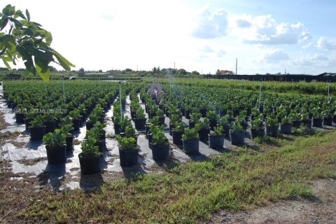 Commercial property in Homestead, Florida № 2240293