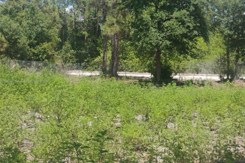 Terrain à vendre à Clewiston, Floride № 2074546 - photo 4