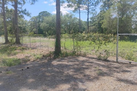 Terrain à Clewiston, Floride № 2074546