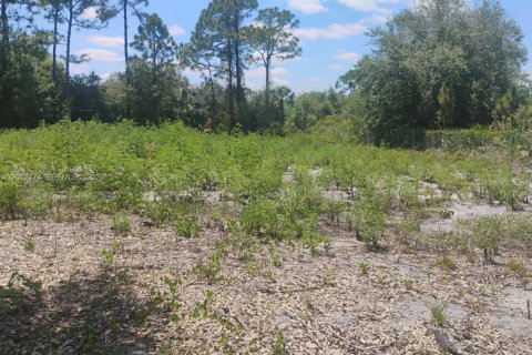 Terrain à vendre à Clewiston, Floride № 2074546 - photo 6