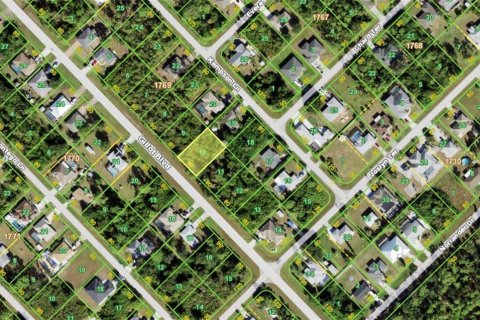 Land in Port Charlotte, Florida № 2383730 - photo 3