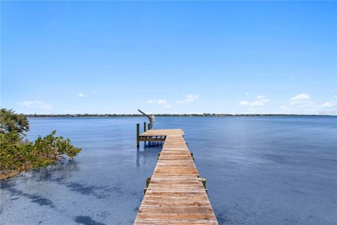 Villa ou maison à vendre à Palmetto, Floride: 4 chambres, 337.7 m2 № 2199302 - photo 5