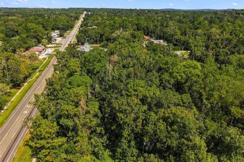 Land in Brooksville, Florida № 2393885 - photo 8
