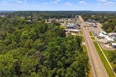 Land in Brooksville, Florida № 2393885 - photo 5