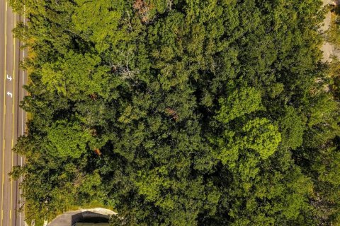 Land in Brooksville, Florida № 2393885 - photo 9