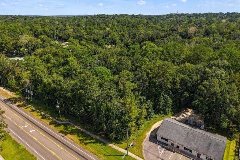 Land in Brooksville, Florida № 2393885 - photo 12