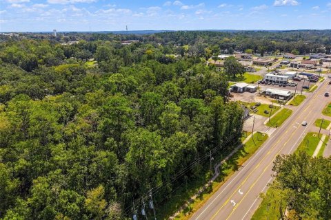 Land in Brooksville, Florida № 2393885 - photo 4