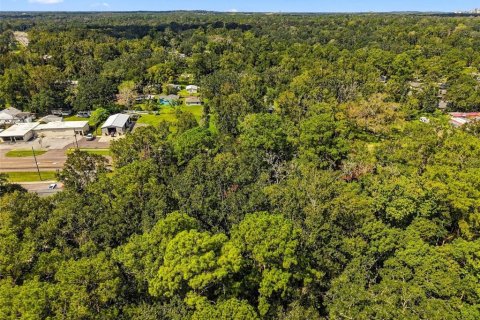 Land in Brooksville, Florida № 2393885 - photo 7